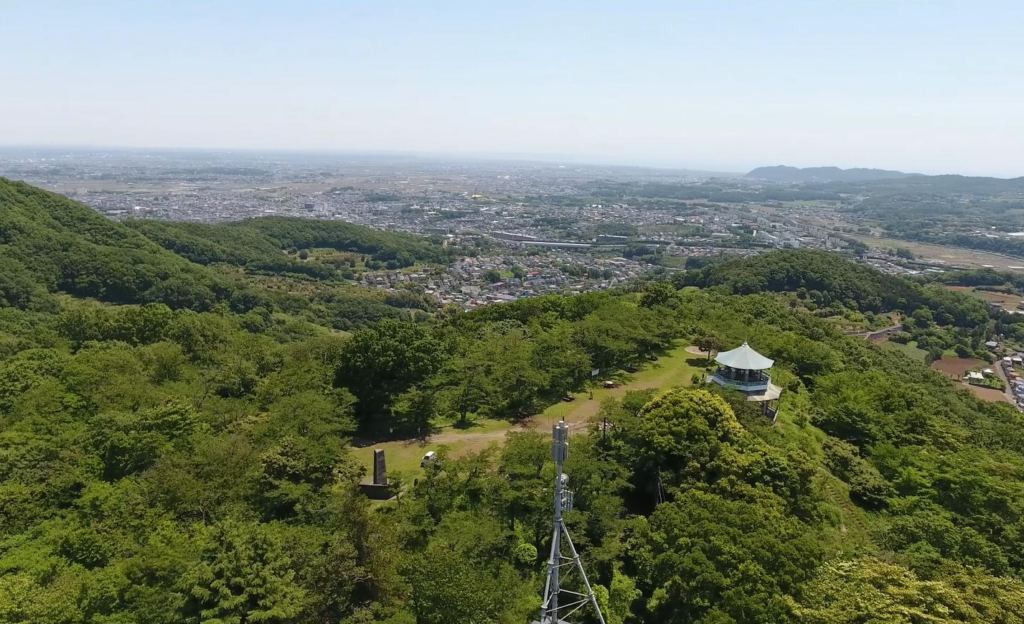 新緑のはだの弘法山・空撮